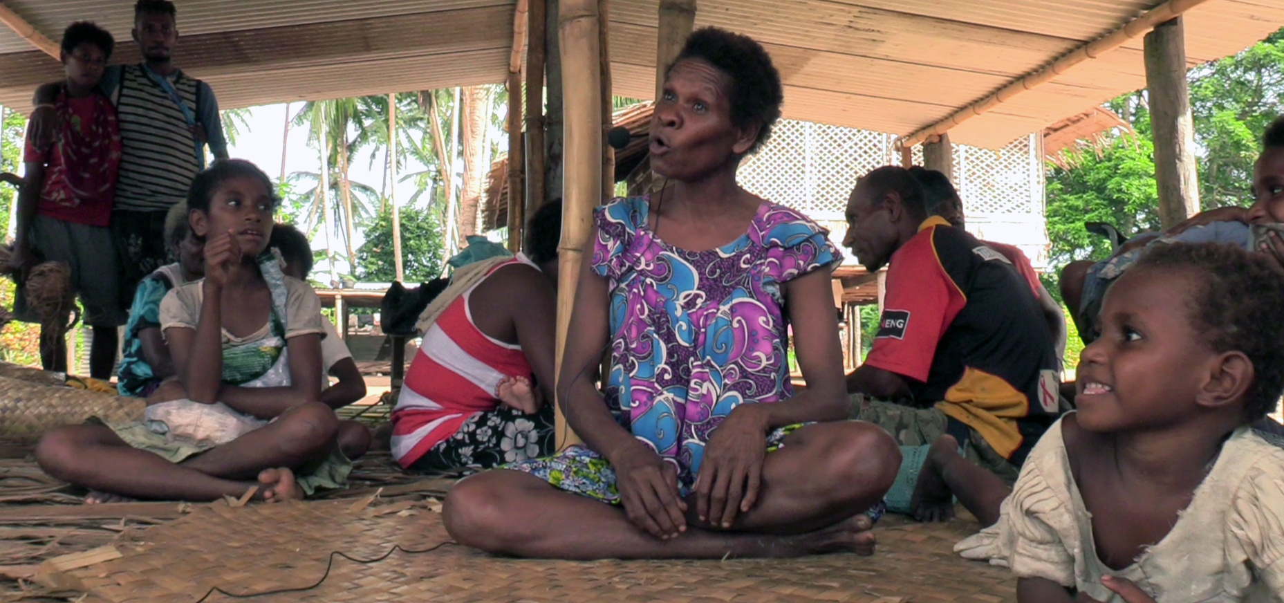A comprehensive documentation of Bine - a language of Southern New Guinea by Christian Doehler